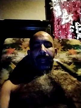 salimbasha online show from October 29, 2:25 am