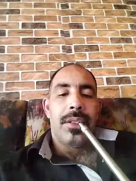 salimbasha online show from May 1, 3:38 pm