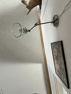 BakedDepartment16 online show from February 10, 3:38 pm