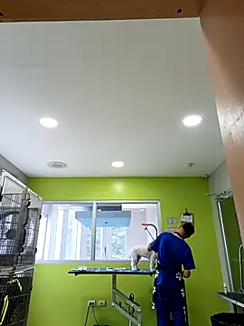 elbbxxx1999 online show from November 4, 5:01 pm