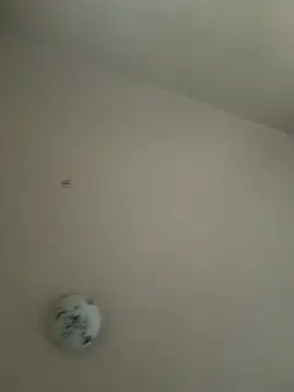 xotflzzz online show from December 16, 1:05 pm