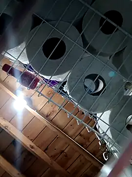 Single lagunero online show from March 16, 6:34 pm