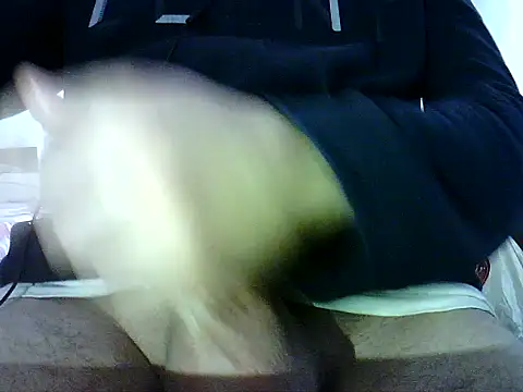 Snapshot of photo3995 chatting on January 12, 9:47 am photo3995 online show from January 12, 9:47 am