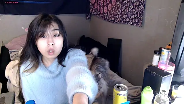 London Ray online show from November 20, 6:46 am