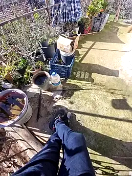 Snapshot of Mahmut4848 chatting on February 19, 8:21 am Mahmut4848 online show from February 19, 8:21 am