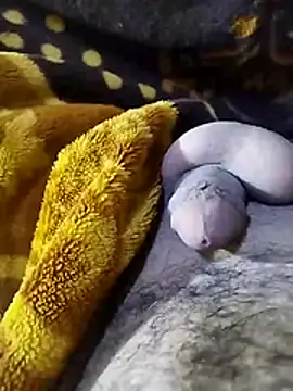 ADAM50001 online show from April 2, 2:42 am