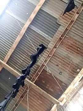 Davir2001 online show from March 14, 9:42 pm