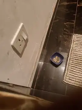 HootedTuner online show from November 13, 8:08 pm