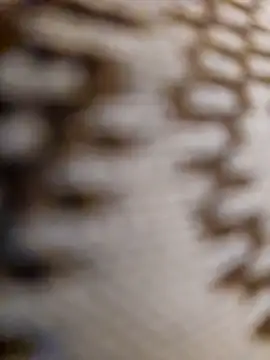 mojaymort online show from November 11, 10:54 pm