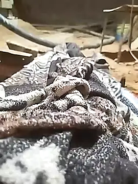 ParousFlow online show from October 11, 11:03 pm