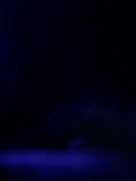 curis4270panda online show from February 19, 11:39 am