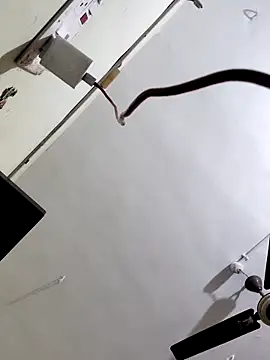 papukurty online show from October 7, 3:14 am