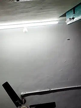 papukurty online show from November 9, 2:21 am