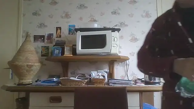 gegevincent online show from February 17, 2:13 pm