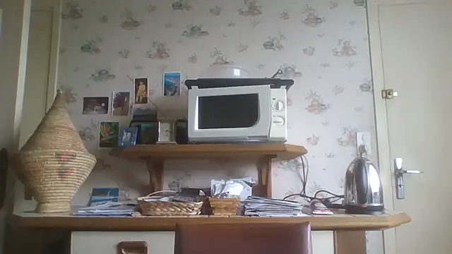 gegevincent online show from May 10, 1:27 pm