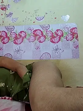 ranisanthutelugu online show from March 27, 8:26 am