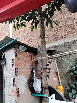 Snapshot of You-sexy-starr chatting on October 9, 4:38 pm You-sexy-starr online show from October 9, 4:38 pm