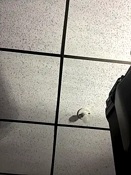 MR MUSCLE online show from September 19, 11:22 am