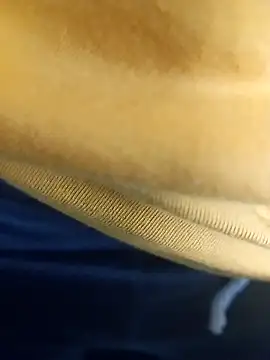 pauzudao 12 online show from March 3, 9:31 pm