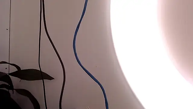 Snapshot of saara_johnson496 chatting on September 24, 3:15 pm saara johnson496 online show from September 24, 3:15 pm