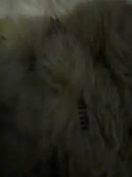 anonimgirl18old online show from March 6, 5:09 pm