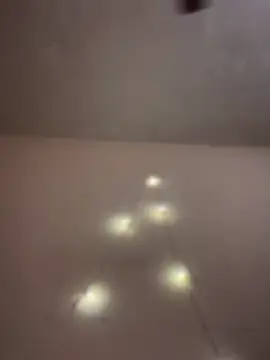 aka big online show from February 14, 6:48 pm