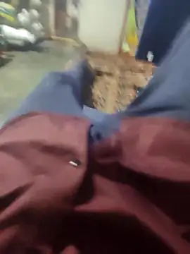 Telugu person12 online show from March 16, 3:38 pm