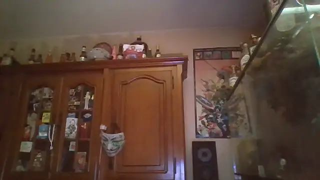 Snapshot of zipman92 chatting on January 15, 5:45 am zipman92 online show from January 15, 5:45 am