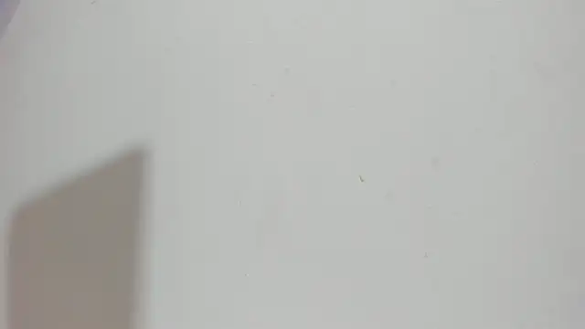 Sophia Ebony online show from May 15, 12:12 pm