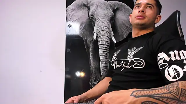 Snapshot of king_falconer chatting on October 19, 11:49 pm king falconer online show from October 19, 11:49 pm