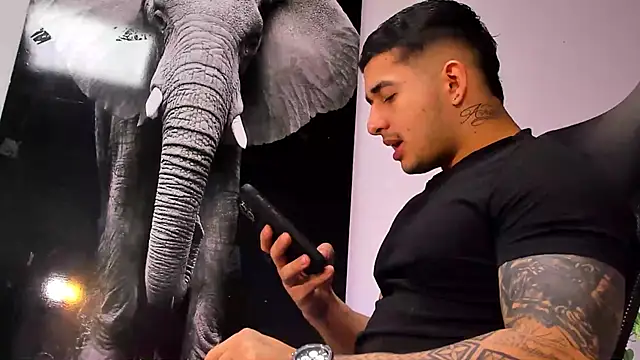 Snapshot of king_falconer chatting on October 28, 3:10 am king falconer online show from October 28, 3:10 am