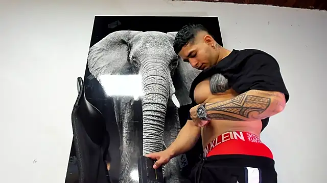 Snapshot of king_falconer chatting on October 31, 2:12 am king falconer online show from October 31, 2:12 am