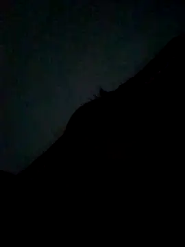 CatchingBouquet online show from September 21, 7:37 pm