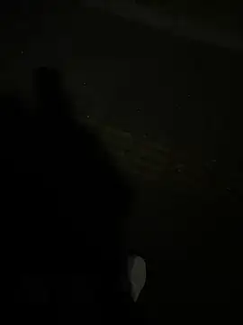 Snapshot of SL_NIKI_PUBLIC chatting on December 22, 11:07 am SL NIKI PUBLIC online show from December 22, 11:07 am