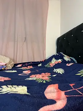 Im tinaa sr online show from October 28, 1:31 am