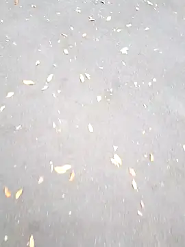 Snapshot of Arya_Lexy chatting on October 26, 2:45 pm Arya Lexy online show from October 26, 2:45 pm