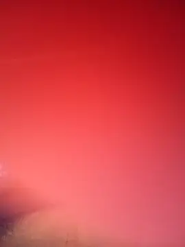 RosenRot07 online show from January 31, 11:25 pm