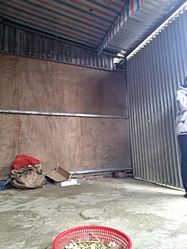 yoowwmr online show from February 3, 6:40 am