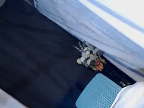 xyourdreamtrans online show from September 24, 9:34 am