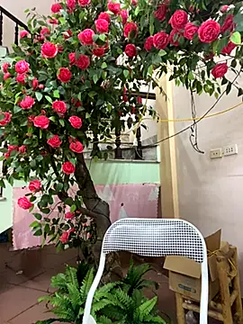 Snapshot of Bollozzy_89 chatting on September 29, 4:23 pm Bollozzy 89 online show from September 29, 4:23 pm