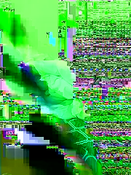 Bollozzy 89 online show from November 21, 6:34 am