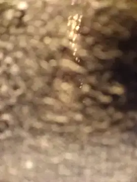 Venessa online show from December 5, 1:14 am