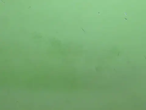 Snapshot of rockyy23boy chatting on October 15, 10:26 am rockyy23boy online show from October 15, 10:26 am