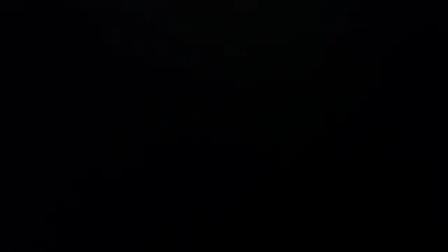 bossking017 online show from February 19, 4:03 pm