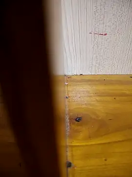 daisylouis online show from March 24, 2:49 am