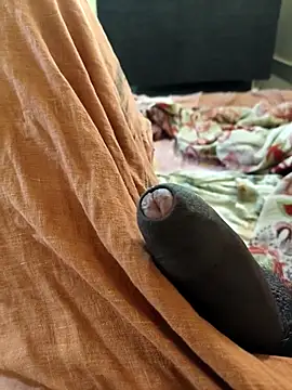 Snapshot of vichuhot chatting on September 26, 8:29 am vichuhot online show from September 26, 8:29 am