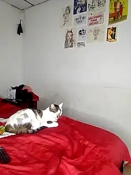 Snapshot of venusobryan_55 chatting on September 18, 11:07 pm venusobryan 55 online show from September 18, 11:07 pm