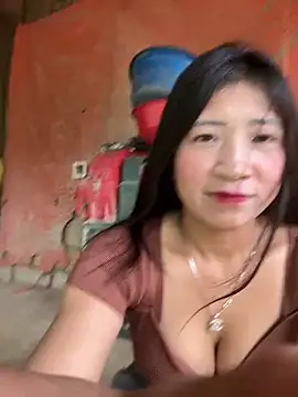 ThiHa003 online show from February 14, 8:00 am