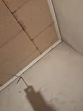 Snapshot of Tudiablita21 chatting on April 6, 7:53 am Tudiablita21 online show from April 6, 7:53 am