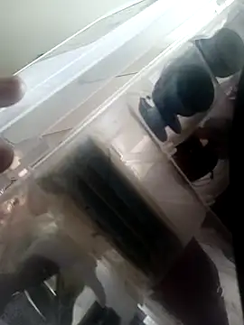 Snapshot of Isabella5_Brown_ chatting on October 7, 2:36 pm Isabella5 Brown online show from October 7, 2:36 pm